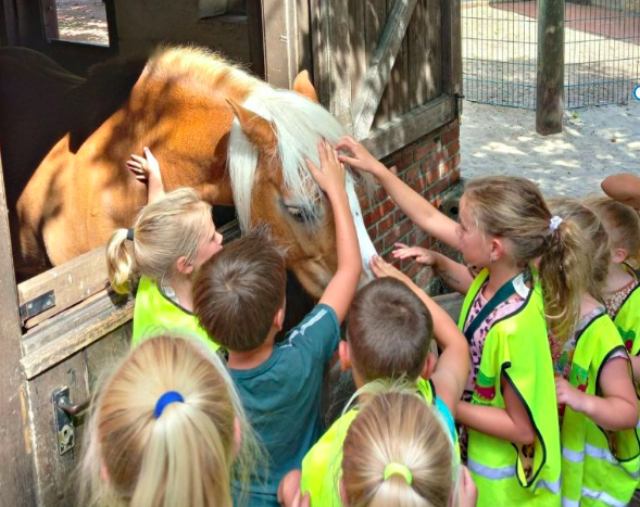 kinderfeestje in de dierentuin